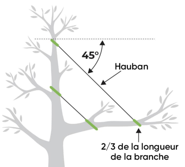 Image-750x750-schema-statique.jpg